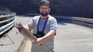 TROUT FISHING off a BRIDGE at DETROIT LAKE! *LIMITS of HUGE fish*