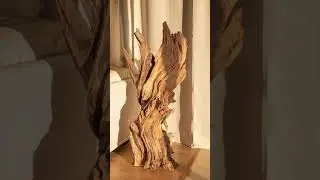 hiasan kayu lapuk