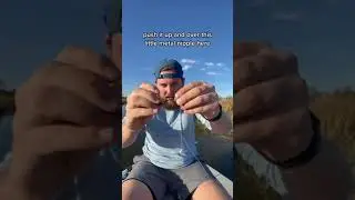 How-To Rig a Weedless Paddle Tail 🎣