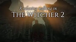 The Witcher 2 - A peaceful stroll through Loc Muinne