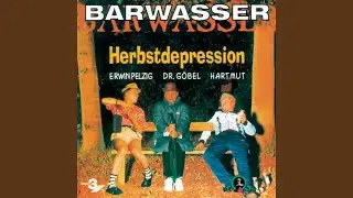 Das Freundschaftsspiel (1)
