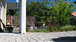 Romantisk trädgård i en klassisk miljö
