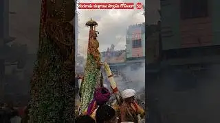 Gugudu Kullai Swamy 2024 final day | #gugudu #gugudukullaiswamy #ytshorts  #solutiondomain #shorts