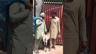 ایسے لوگوں پر احساس کبھی نہ کرنا