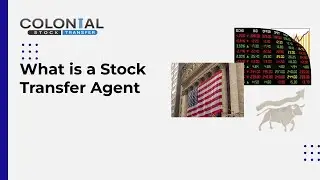 What is a Stock Transfer Agent