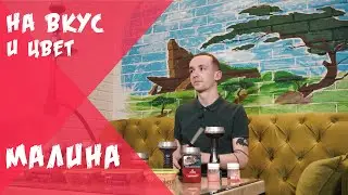 НА ВКУС И ЦВЕТ: МАЛИНА | ЛУЧШАЯ МАЛИНА НА РЫНКЕ