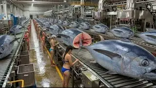 Inside a Modern Tuna Factory: Complete Tuna Production Process