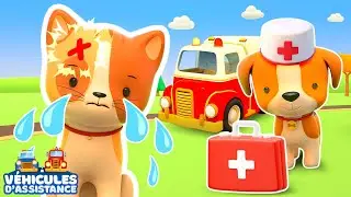 😺🐶 Aventure à l’aéroport : le chaton appuie sur un bouton… et tout dérape ! 🚑💦