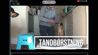Tandbørste - H&T - 15 1 26 (10.01)