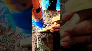 How to put Sickle (दराती) handle #youtubeshorts #agriculture #blacksmith #forge