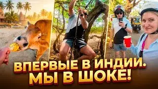Первое впечатления Индия Гоа. К нам приехали на зимовку друзья. Как развлекаться в Индии. Зимуем ГОА