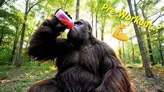 Bigfoot Tries Sam Sulek's Bulk (GONE WRONG) | 8000 Calorie Forest Diet