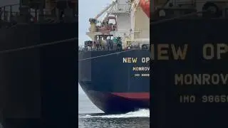 🇱🇷Bulk Carrier Departing Port of Los Angeles