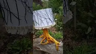 my first driftwood lamp