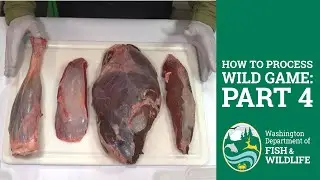 How to Process Wild Game (Part 4): Trimming the meat