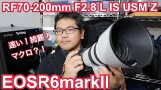 RF70-200mm F2.8 L IS USM Z と EOSR6markII 撮影レビュー！