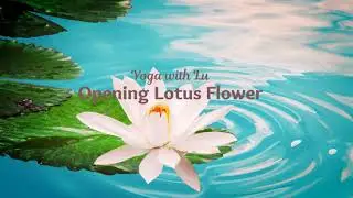 Prenatal & Birth Meditation, Opening Lotus Flower