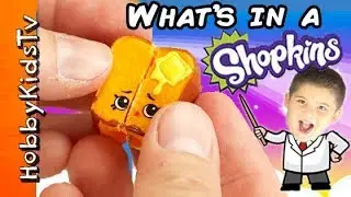 What's Inside Shopkins Toy? HobbyScience Lab
