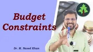 Budget Constraints in Hindi