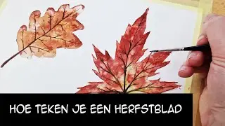 Hoe teken je een herfstblad