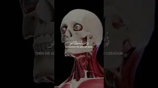 Surah Muminoon Verse no:14 by Sheikh Yasser Al Dossari | Quran verses on how humans were created.