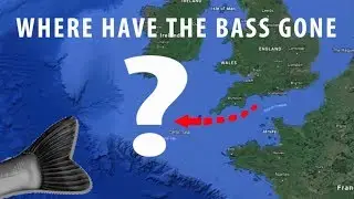 Where do fish go in winter?