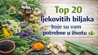 Top 20 ljekovitih biljaka koje trebate 🌿