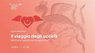 Il viaggio degli uccelli - Carlo Saccone