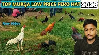 Feko haat murga market || feko haat || murga market video || #feko 