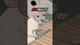 ||Job Reality VS Business lifestyle||