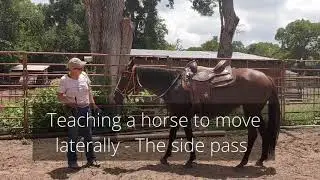 How to side pass a horse on the ground - 2 approaches to lateral movement
