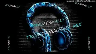 TRINI BAD MIX DJ SMALLY