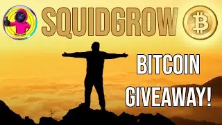 SquidGrow Challenge - Shibtoshi gives away 1 BITCOIN!
