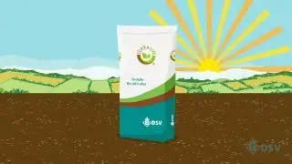 DSV TerraLife- choosing the right species for cover crops
