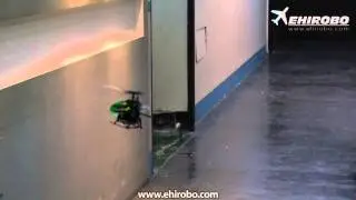 eHIROBO.com - Skyartec WASP100 NANO CP Flybarless Helicopter Test Flight