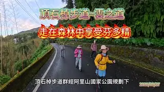 雲之道/頂石棹步道/阿里山