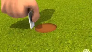 Repairing Ball Marks
