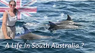 Moving to SA Vlog - Swimming With Dolphins, Australia Day, Extreme Weather Warnings