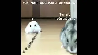 Рил: когда меня забанили где можно