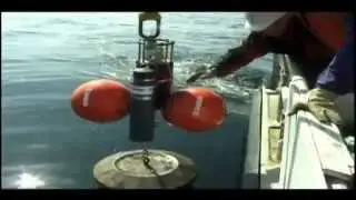The Ocean Tracking Netowrk