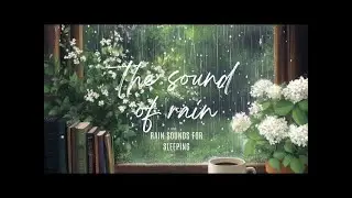 Rainy Sound [12시간 비 오는 소리] | 백색 소음, 불면증에 좋다 | 1분 후 다크 스크린 | 명상