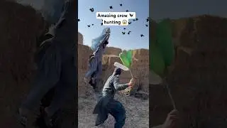 Amazing crow hunting 🐦&zwj;⬛😱 #youtubeshorts #birds #hunting #shorts #viralshorts #animals #farming