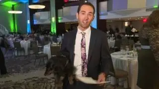 Planet Dog Ball