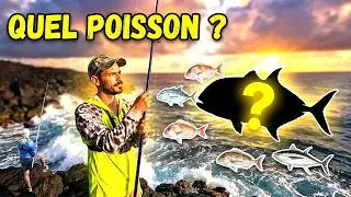 Session Multi Pêche En Bord De Mer Sur 2 Spots à la Réunion #Fishing974
