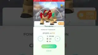 POWERING UP MY 98% SHINY TERRAKION TO LVL 40 FOR TOGETIC RAID