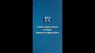 Xinhua News | China's space station to study planarian regeneration