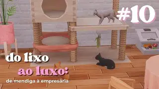 🔴 MISS&Atilde;O CASAMENTO DAS S&Aacute;FICAS GATEIRAS🥰🐱  | De mendiga &agrave; empres&aacute;ria (lixo ao luxo) - The Sims 4