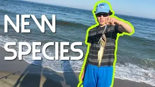 I Caught a Weird Creature! (MV Trip Part 3)