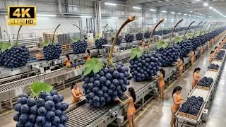 The Grape Production Process: From the Grape Farm to the Perfect Finished Product