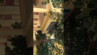 Kailash Hostel Vibes: 30 Seconds of Campus Life  #studentlife #rgscbhu #rgsc #bhu #bhucampus